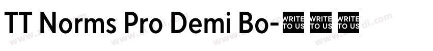 TT Norms Pro Demi Bo字体转换